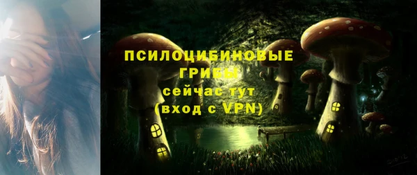 прущая мука Алзамай