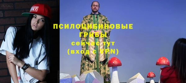 круглые Абаза