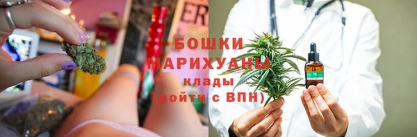 прущие грибы Абдулино