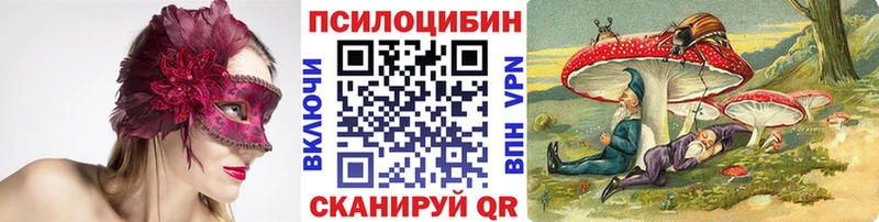 Псилоцибиновые грибы Psilocybe  ссылка на мегу ссылка  Опочка 